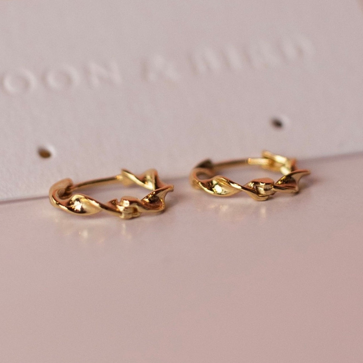Pair of Wave huggie hoops in 18K gold vermeil with a twisted design on a Moon & Bird card.