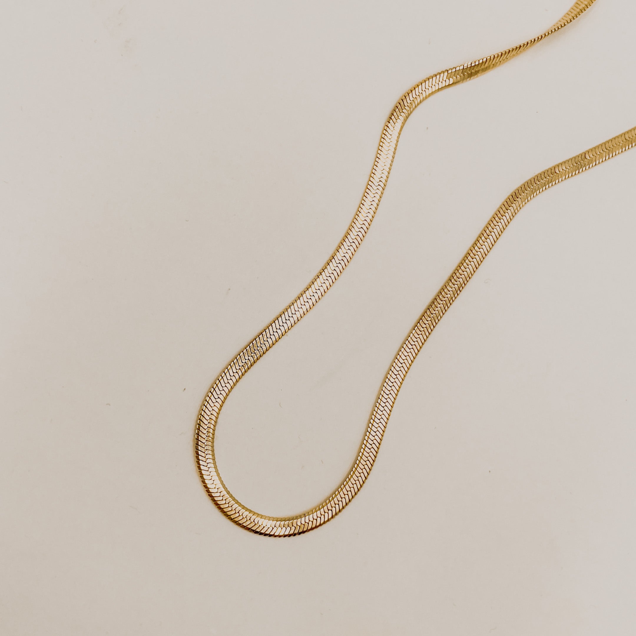 Clementine Herringbone Chain | Stainless Steel